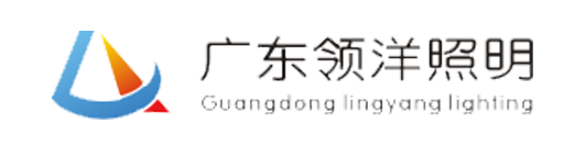 shouyaotech.com